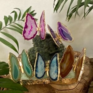 WhatsApp Image 2024 12 11 at 11.41.41 1