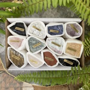 WhatsApp Image 2024 12 11 at 11.41.41 2