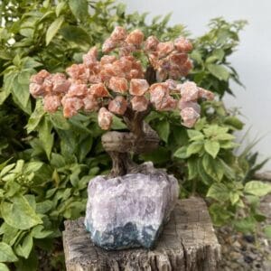 WhatsApp Image 2024 12 11 at 11.41.41