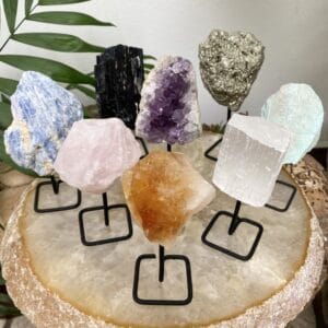 WhatsApp Image 2024 12 11 at 11.41.43 2