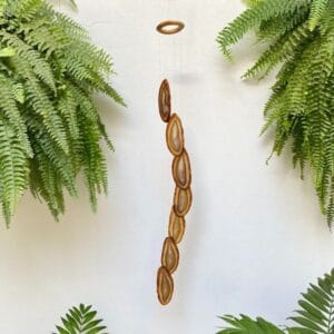 WhatsApp Image 2024 12 11 at 11.56.30