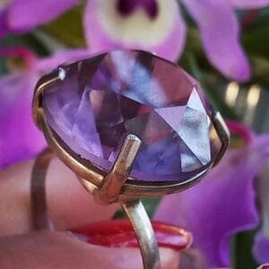 WhatsApp Image 2025 02 21 at 08.55.00 (1)