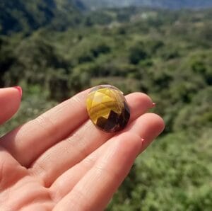 WhatsApp Image 2025 02 21 at 08.55.00