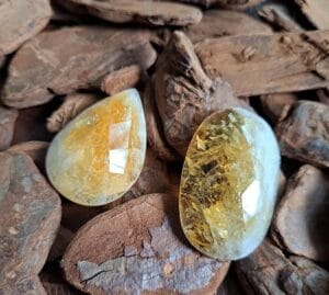 WhatsApp Image 2025 02 21 at 08.55.02 (1)