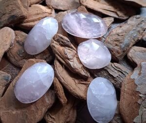 WhatsApp Image 2025 02 21 at 08.55.02 (3)